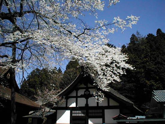 介山祭