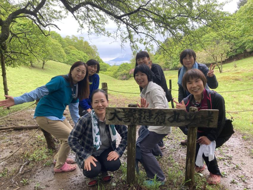 2025年5月31日