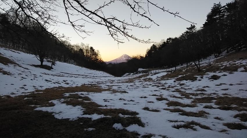 明けましておめでとうございます。