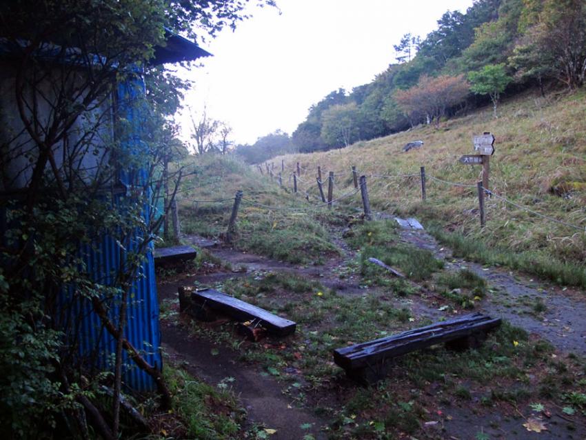 一晩で消えた雨水