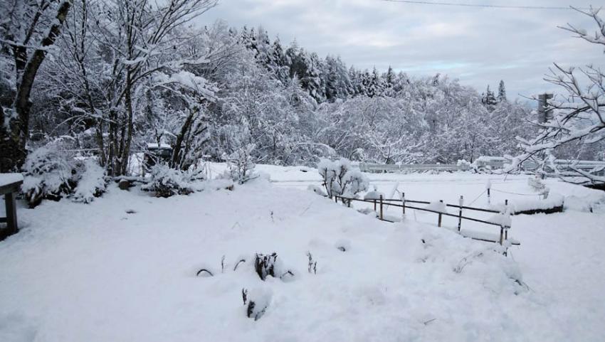 雪がふりました。