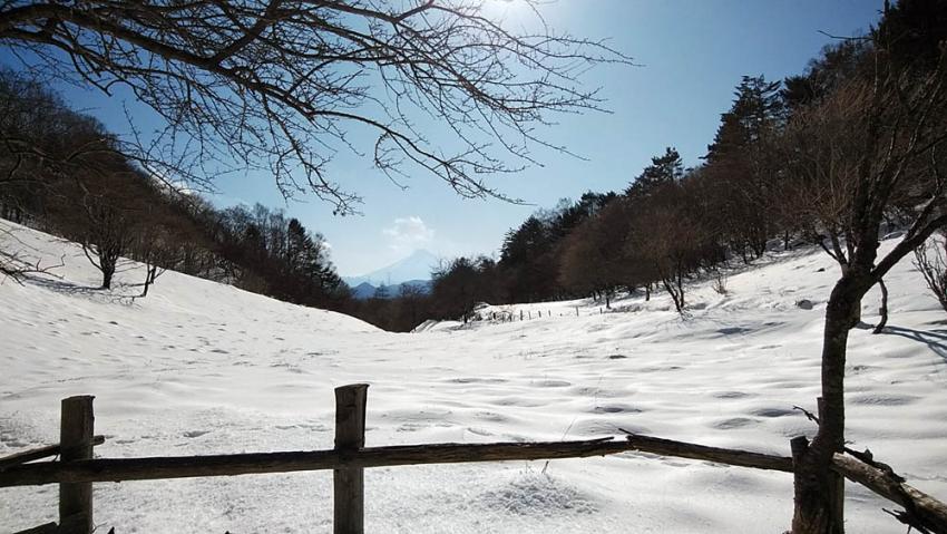 峠の積雪