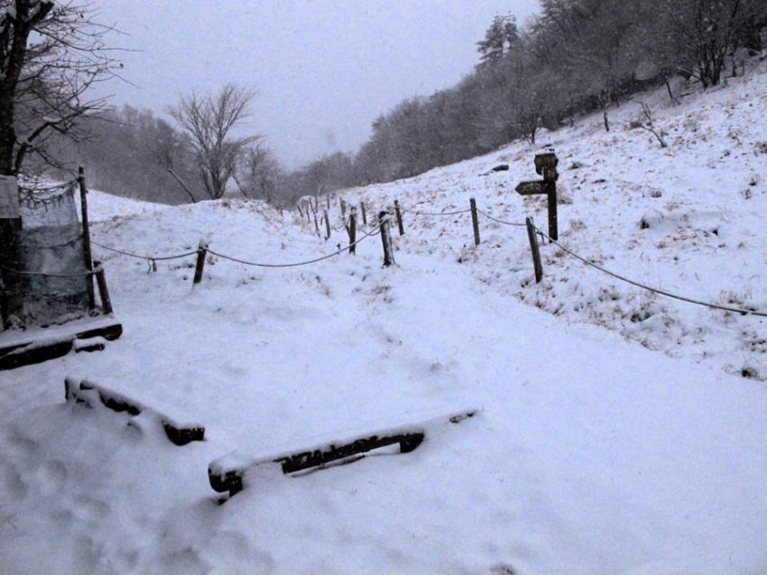 春の雪