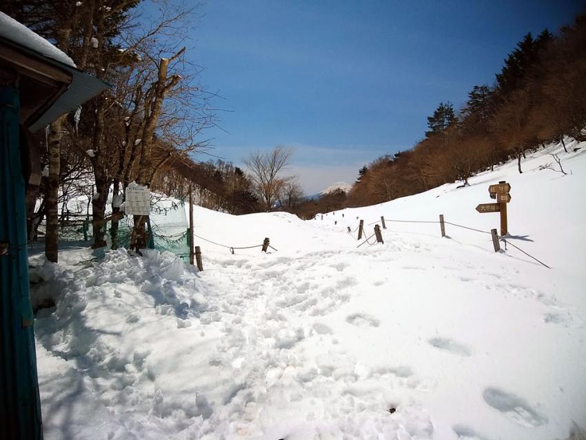 どかっと雪がふりました。