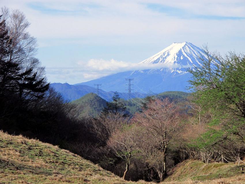 富士山