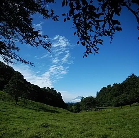 １７日振りの晴れ空