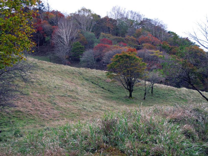 峠の紅葉