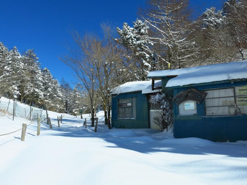 ようやく積雪