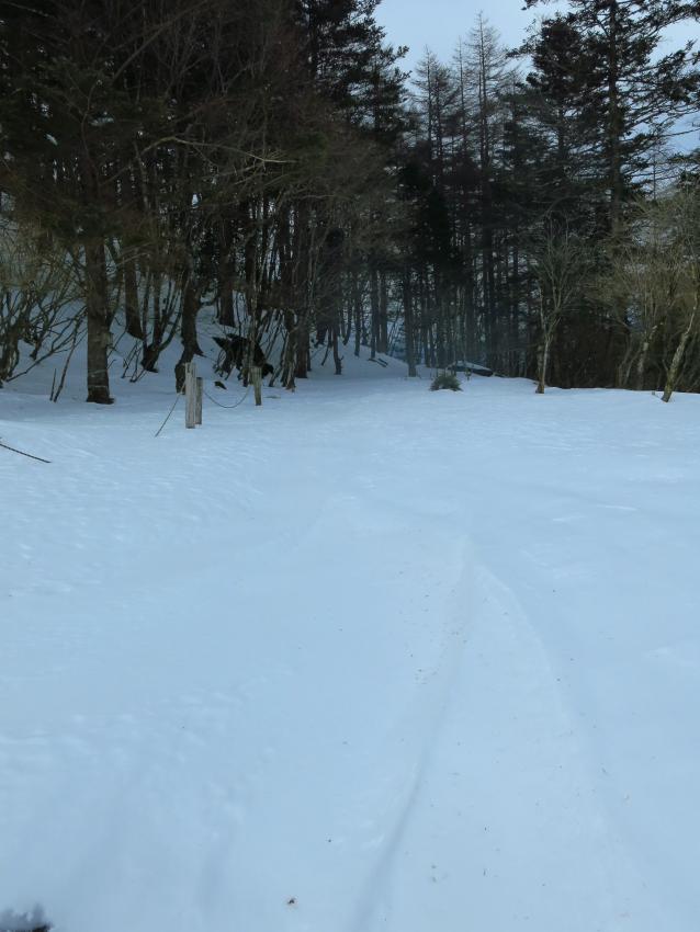 柳沢方面の山道