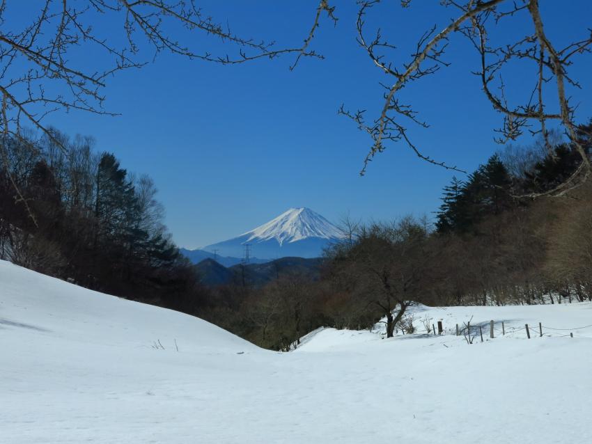 パキっとした富士